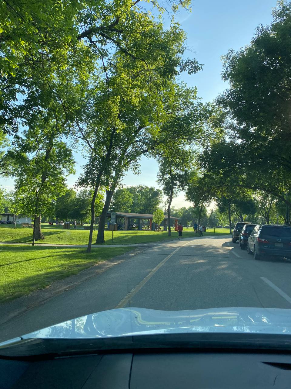 Sunlit road through Kildonan Park lined with green trees, parked cars, and a picnic shelter. Filipino barbecue